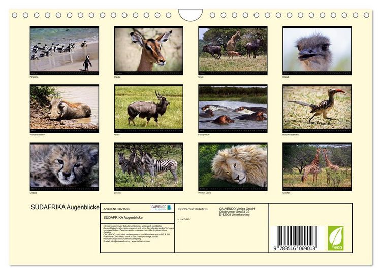 Produktbild: S&Uuml;DAFRIKA Augenblicke (Wandkalender 2026 DIN A4 quer), CALVENDO Monatskalender