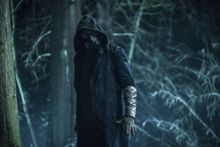 The Flash - Die komplette 5. Staffel [4 BRs]
