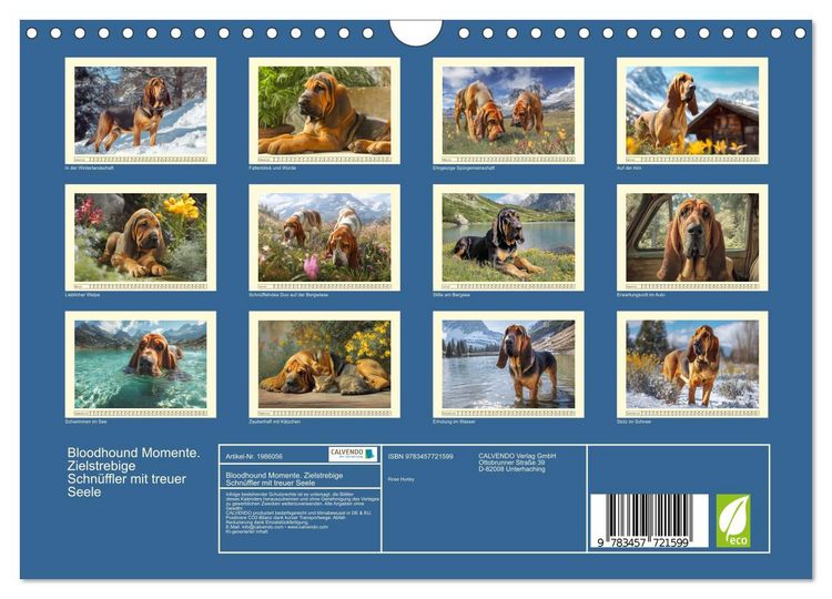 Produktbild: Bloodhound Momente. Zielstrebige Schn&uuml;ffler mit treuer Seele (Wandkalender 2026 DIN A4 quer), CALVENDO Monatskalender