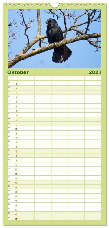 Produktbild: Familienplaner 2027 - Das Leben der Rabenv&ouml;gel mit 5 Spalten (Wandkalender, 21 x 45 cm) CALVENDO