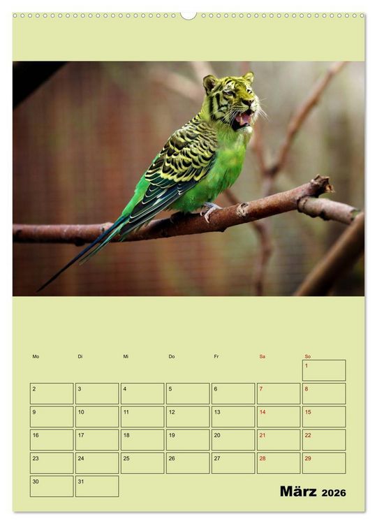 Produktbild: Seltsame Tiere - da stimmt doch was nicht... (Wandkalender 2026 DIN A2 hoch), CALVENDO Monatskalender