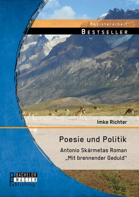 Produktbild: Poesie und Politik: Antonio Sk&aacute;rmetas Roman "Mit brennender Geduld"