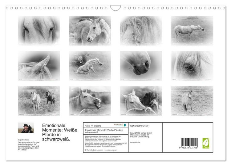 Produktbild: Emotionale Momente: Wei&szlig;e Pferde in schwarzwei&szlig;. (Wandkalender 2026 DIN A3 quer), CALVENDO Monatskalender