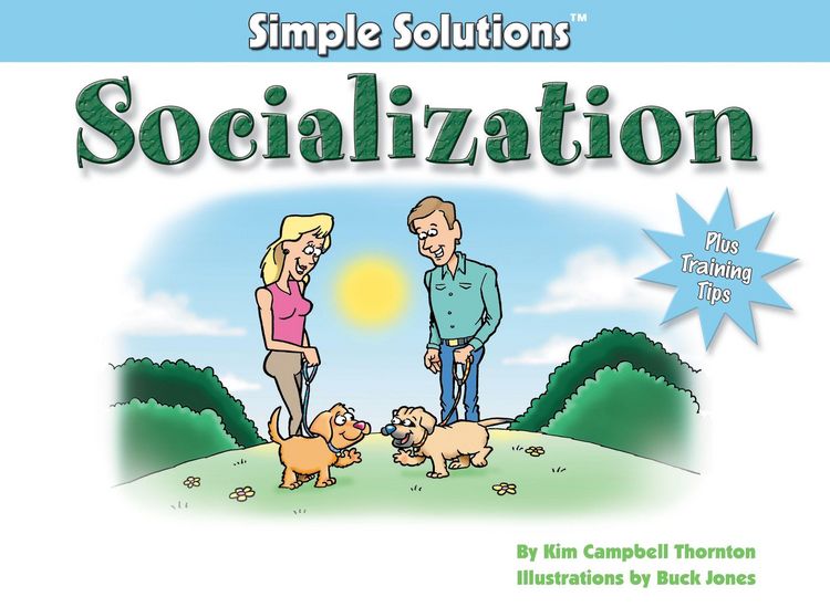 Produktbild: Socialization