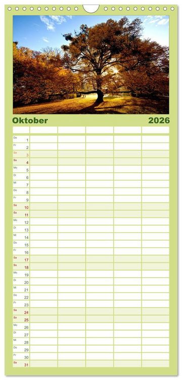 Produktbild: Familienplaner 2026 - Wege durchs neue Jahr mit 5 Spalten (Wandkalender, 21 x 45 cm) CALVENDO