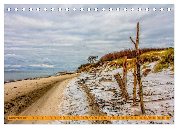 Produktbild: Wilder Dar&szlig;er Weststrand (Tischkalender 2027 DIN A5 quer), CALVENDO Monatskalender
