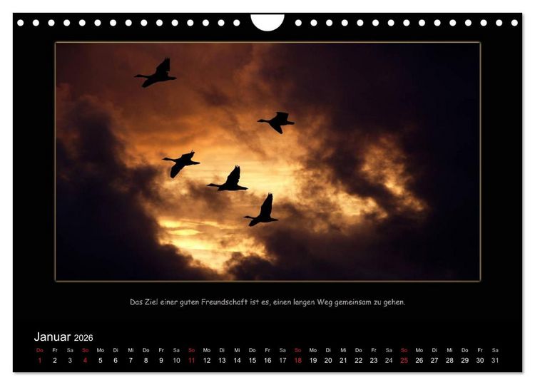 Produktbild: Freundschaft (Wandkalender 2026 DIN A4 quer), CALVENDO Monatskalender