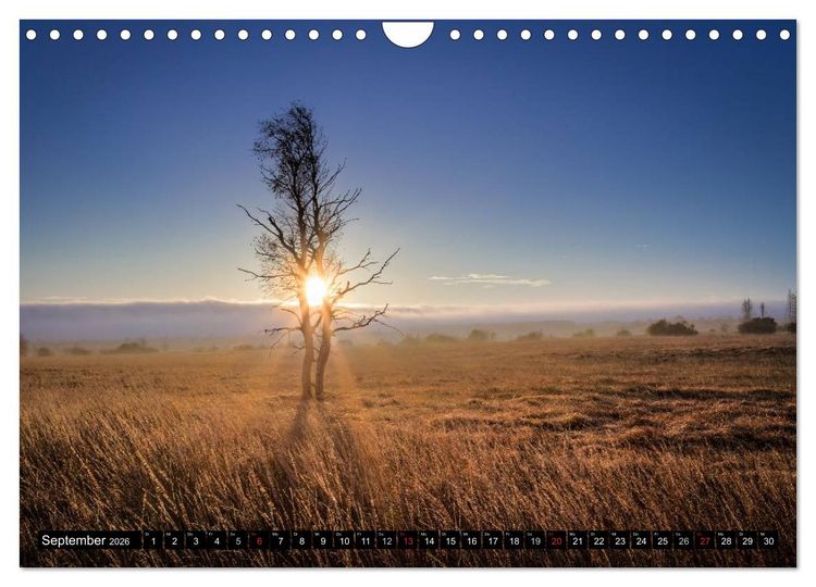 Produktbild: Ein neuer Tag beginnt (Wandkalender 2026 DIN A4 quer), CALVENDO Monatskalender