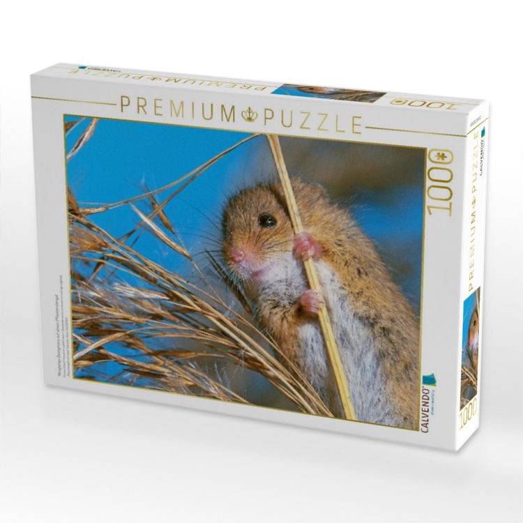 Produktbild: CALVENDO Puzzle Neugierige Zwergmaus auf einem Pflanzenstengel | 1000 Teile Lege-Gr&ouml;&szlig;e 64x48cm Foto-Puzzle f&uuml;r gl&uuml;ckliche Stunden