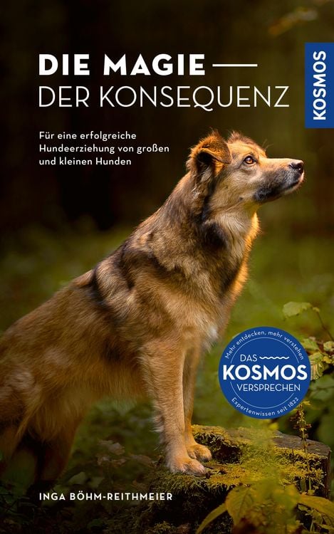 Produktbild: Die Magie der Konsequenz