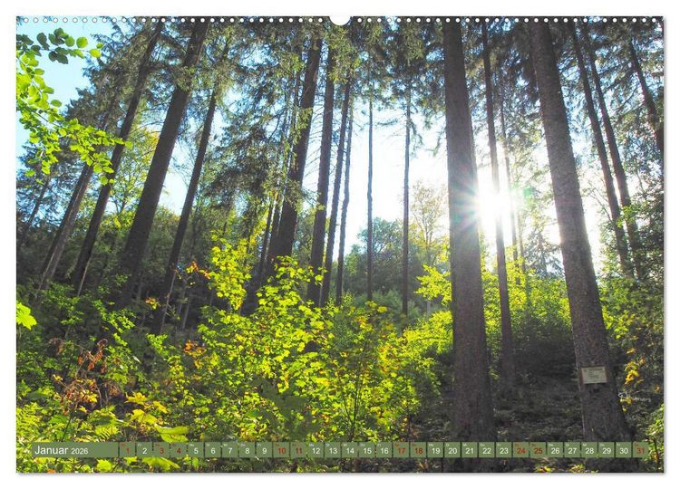 Produktbild: Bad Sachsa - Landschaftsmomente im S&uuml;dharz (hochwertiger Premium Wandkalender 2026 DIN A2 quer), Kunstdruck in Hochglanz