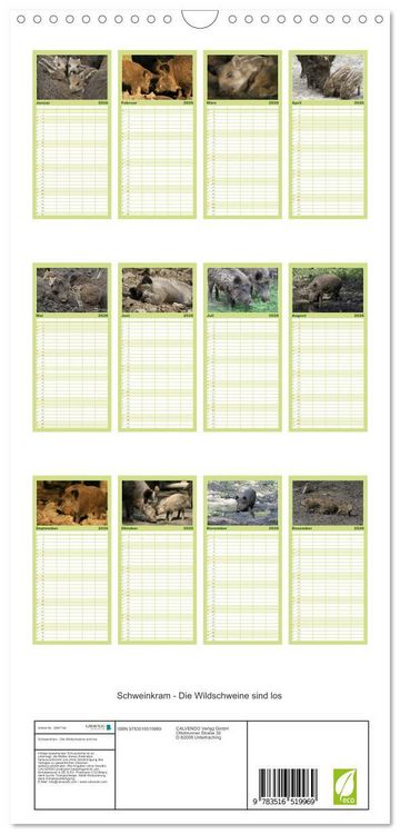 Produktbild: Familienplaner 2026 - Schweinkram - Die Wildschweine sind los mit 5 Spalten (Wandkalender, 21 x 45 cm) CALVENDO