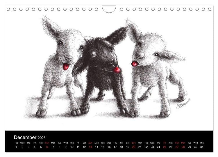 Produktbild: owls & friends 2026 (Wall Calendar 2026 DIN A4 landscape), CALVENDO 12 Month Wall Calendar