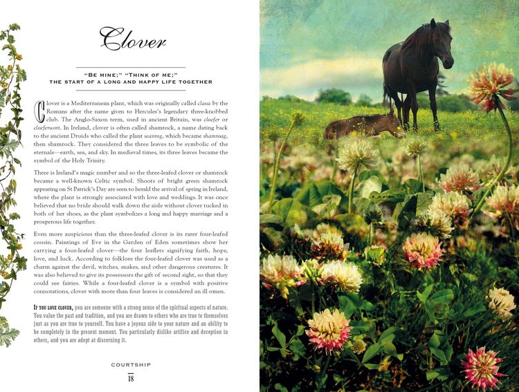 Produktbild: The Secret Language of Flowers