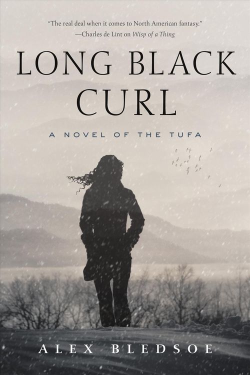 Produktbild: Long Black Curl
