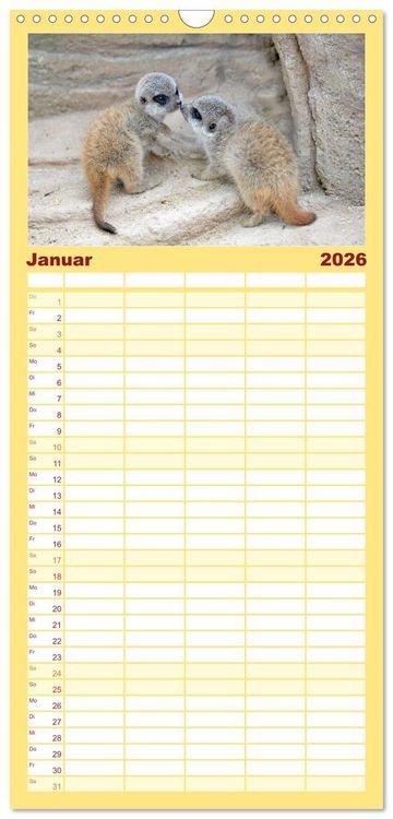 Produktbild: Familienplaner 2026 - Lustige Erdm&auml;nnchen mit 5 Spalten (Wandkalender, 21 x 45 cm) CALVENDO