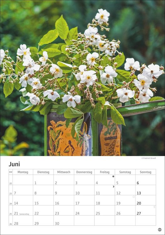 Produktbild: Rosenpracht Kalender 2027