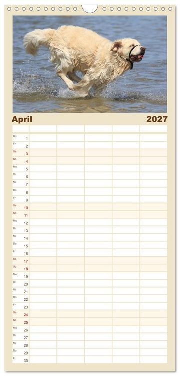 Produktbild: Familienplaner 2027 - Freunde auf vier Pfoten am Strand mit 5 Spalten (Wandkalender, 21 x 45 cm) CALVENDO