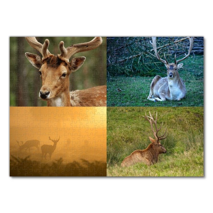 Produktbild: Lais Puzzle Collage Hirsch 500 Teile