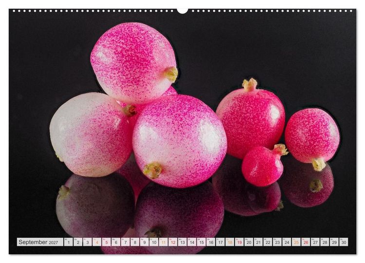 Produktbild: Zauber der kleinen Dinge (hochwertiger Premium Wandkalender 2027 DIN A2 quer), Kunstdruck in Hochglanz