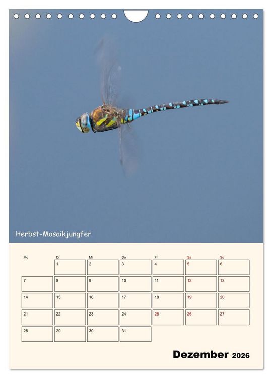 Produktbild: Libellen - Flugk&uuml;nstler in Bayern (Wandkalender 2026 DIN A4 hoch), CALVENDO Monatskalender