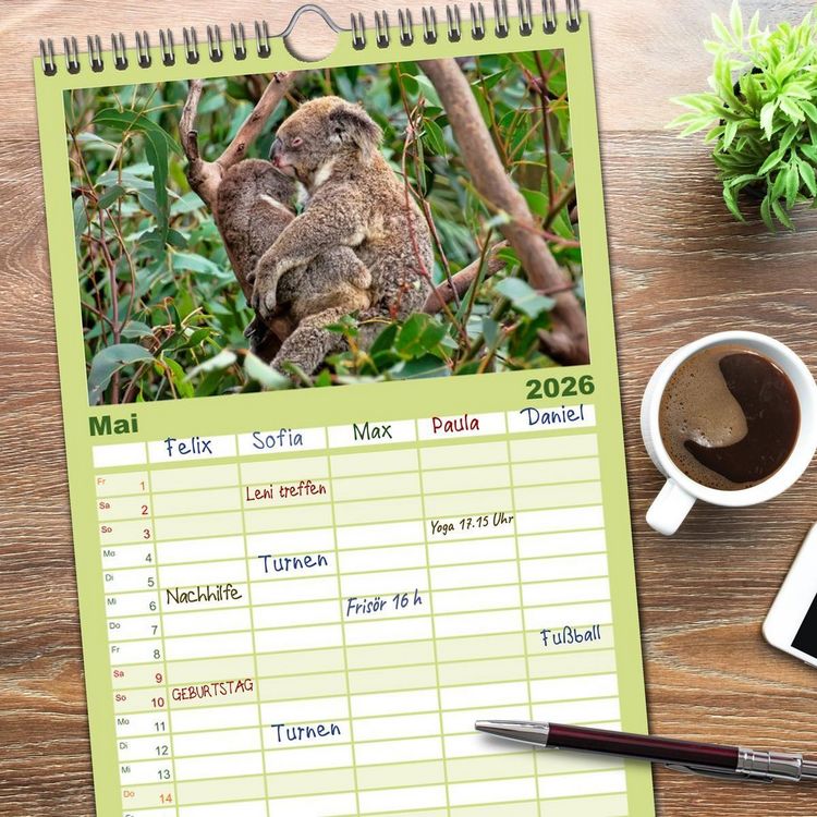 Produktbild: Familienplaner 2026 - Koala - kleiner Teddy mit 5 Spalten (Wandkalender, 21 x 45 cm) CALVENDO