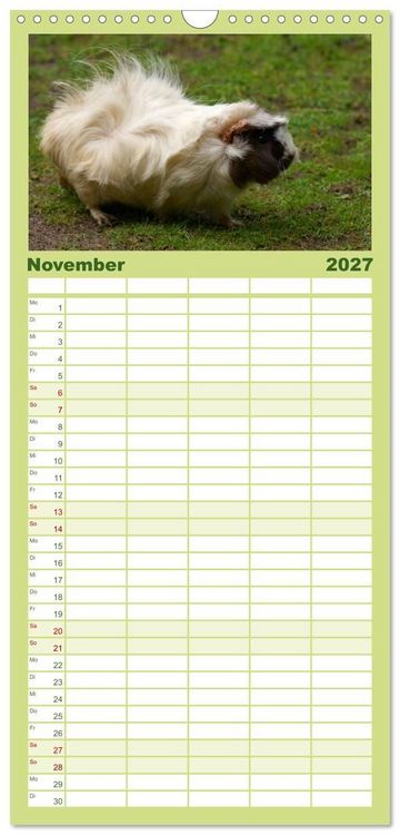 Produktbild: Familienplaner 2027 - Kuschelige Meerschweinchen mit 5 Spalten (Wandkalender, 21 x 45 cm) CALVENDO