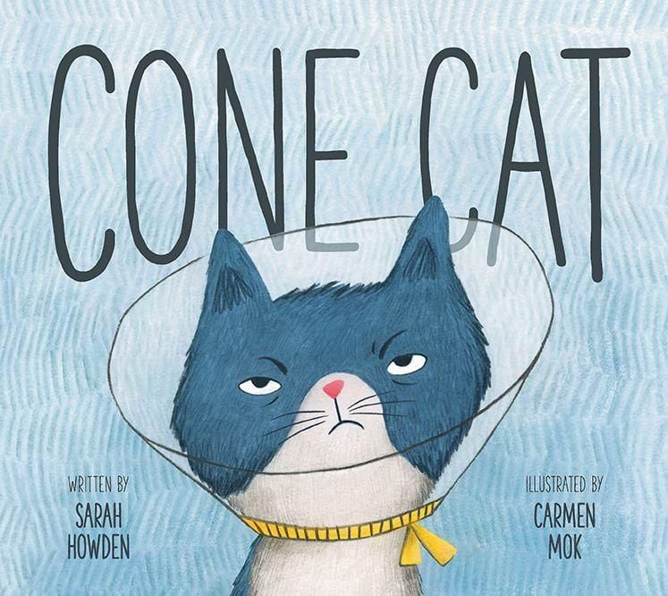 Produktbild: Cone Cat