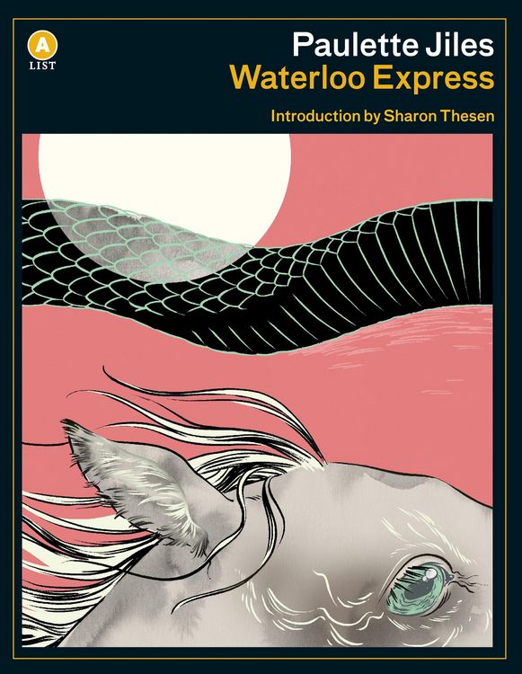 Produktbild: Waterloo Express