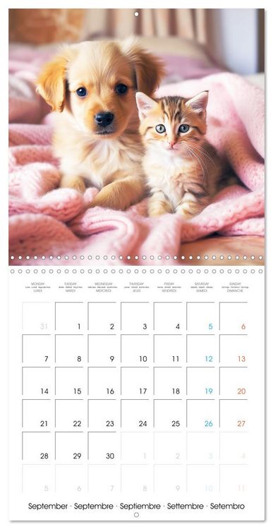 Produktbild: Mignon duo (Calendrier mural carr&eacute; 2026 30x30 cm) Calendrier double avec une page pour vos prises de notes