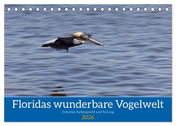 Produktbild: Floridas wunderbare Vogelwelt (Tischkalender 2026 DIN A5 quer), CALVENDO Monatskalender