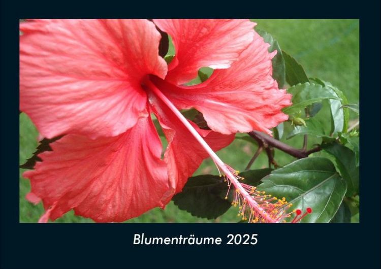 Produktbild: Blumentr&auml;ume 2025 Fotokalender DIN A4