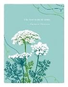 Produktbild: Positively Green Greeting Cards: Wedding - The best is yet to come (Pack of 6)