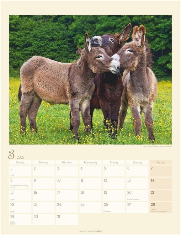 Produktbild: Esel Kalender 2027