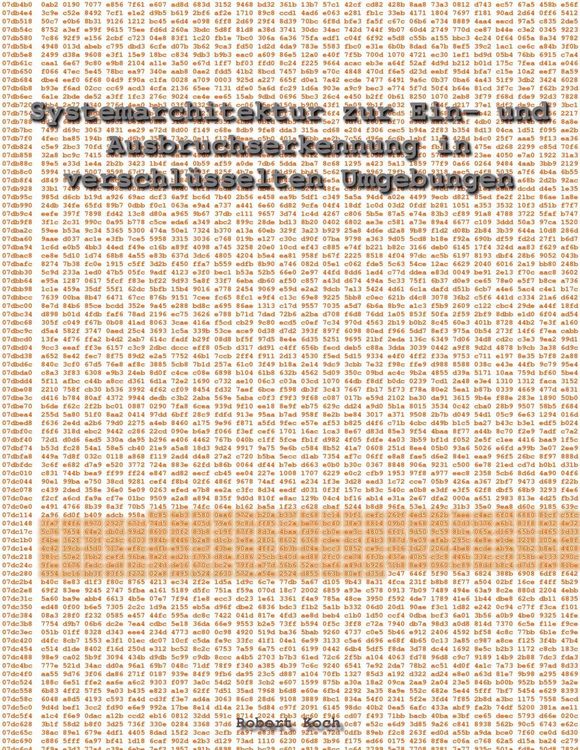 Produktbild: Systemarchitektur zur Ein- und Ausbruchserkennung in verschl&uuml;sselten Umgebungen