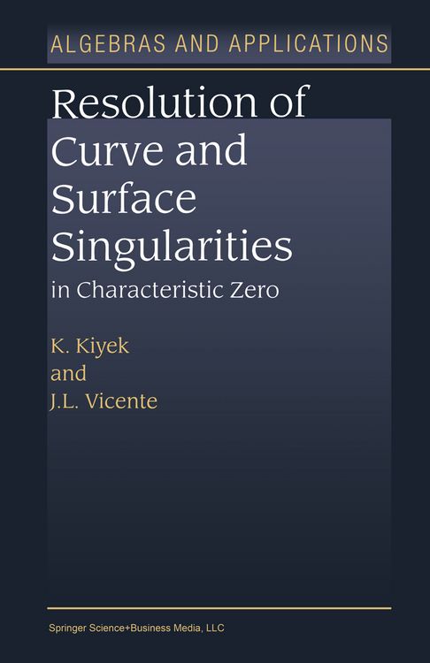 Produktbild: Resolution of Curve and Surface Singularities in Characteristic Zero