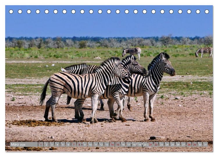 Produktbild: Namibia - Von Nord nach S&uuml;d (Tischkalender 2026 DIN A5 quer), CALVENDO Monatskalender