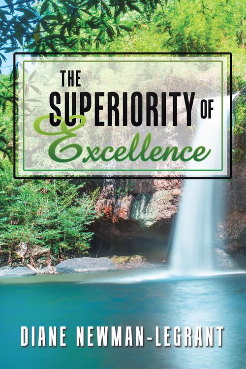 Produktbild: The Superiority of Excellence