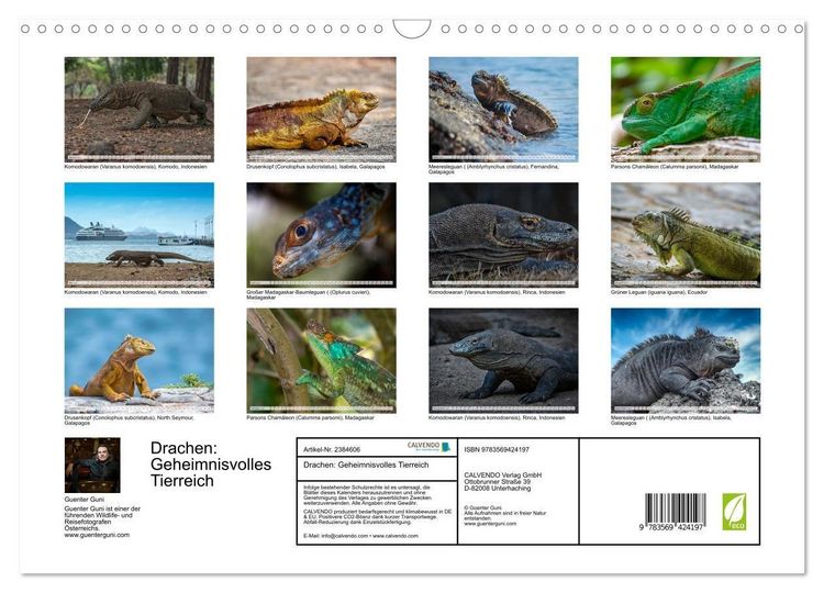 Produktbild: Drachen: Geheimnisvolles Tierreich (Wandkalender 2027 DIN A3 quer), CALVENDO Monatskalender