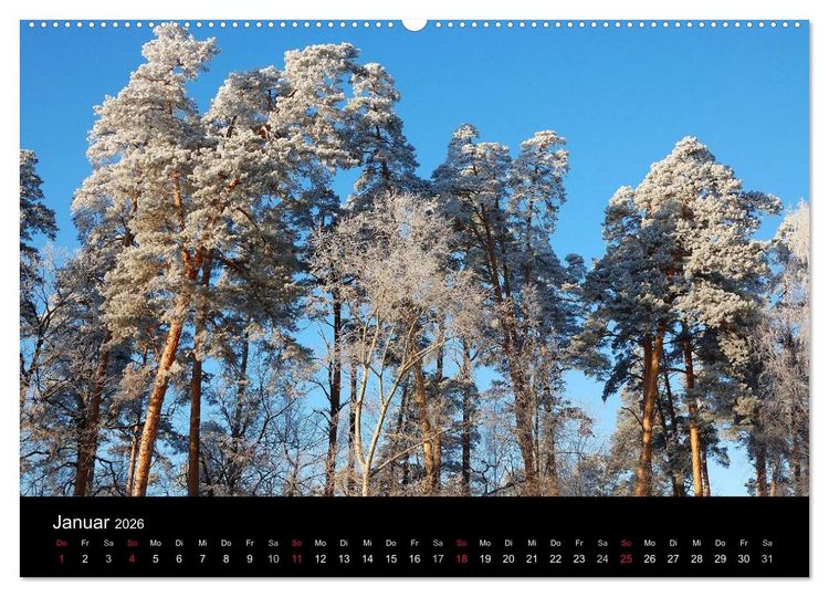 Produktbild: Jahreszeiten / 2026 (Wandkalender 2026 DIN A2 quer), CALVENDO Monatskalender