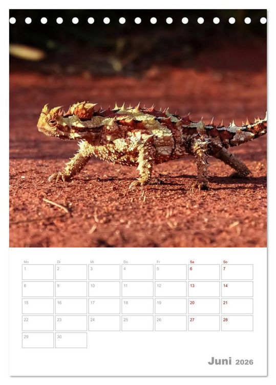 Produktbild: g'day Australien 2026 (Tischkalender 2026 DIN A5 hoch), CALVENDO Monatskalender