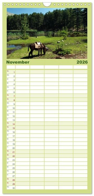 Produktbild: Familienplaner 2026 - Esel - liebenswerte Langohren mit 5 Spalten (Wandkalender, 21 x 45 cm) CALVENDO