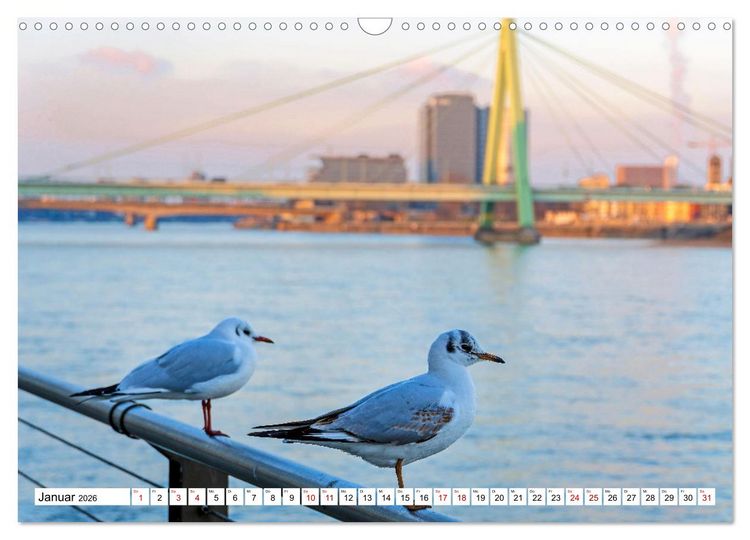 Produktbild: K&ouml;ln - Facetten einer Stadt (Wandkalender 2026 DIN A3 quer), CALVENDO Monatskalender
