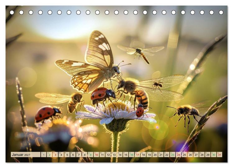 Produktbild: Tiere im Gegenlicht (Tischkalender 2027 DIN A5 quer), CALVENDO Monatskalender