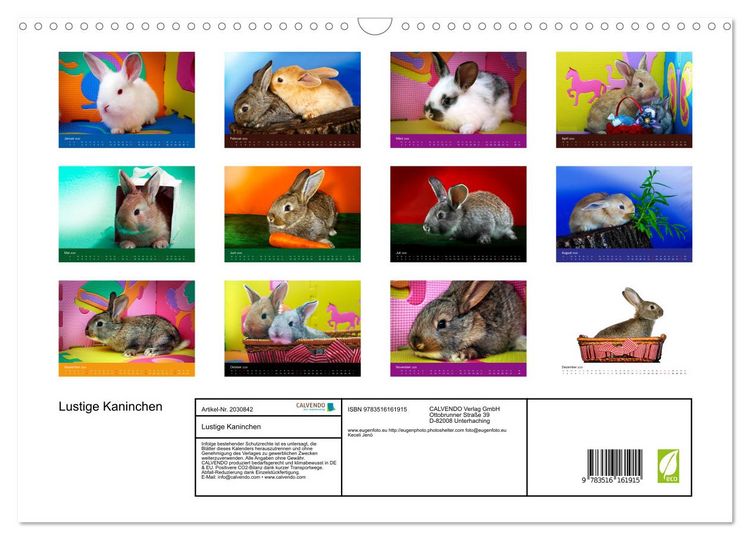 Produktbild: Lustige Kaninchen (Wandkalender 2026 DIN A3 quer), CALVENDO Monatskalender