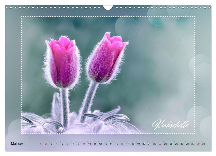 Produktbild: Bl&uuml;tenbouquet (Wandkalender 2027 DIN A3 quer), CALVENDO Monatskalender