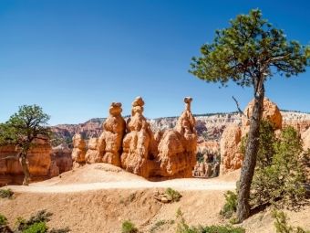 Produktbild: CALVENDO Puzzle BRYCE CANYON Wanderpfad durch die Felsformationen | 1000 Teile Lege-Gr&ouml;&szlig;e 64x48cm Foto-Puzzle f&uuml;r gl&uuml;ckliche Stunden