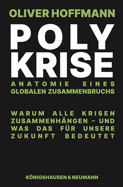 Produktbild: Polykrise
