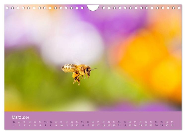 Produktbild: Farbwechsel - Die Farben der vier Jahreszeiten (Wandkalender 2026 DIN A4 quer), CALVENDO Monatskalender