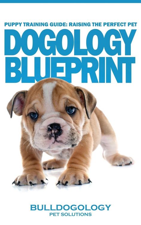 Produktbild: Puppy Training Guide